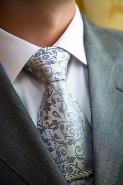 Homem elegante em um terno e gravata — Fotografia de Stock