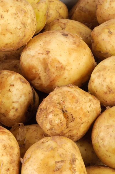 Mladí syrové brambory jako pozadí — Stock fotografie