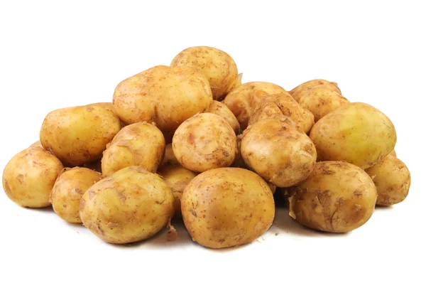 Young raw potato a — Stock Photo, Image