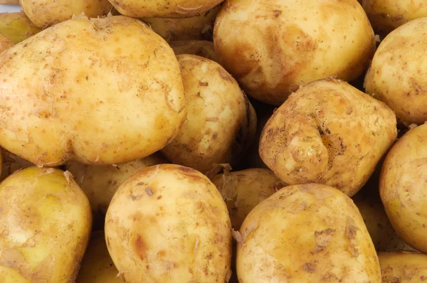 Mladí syrové brambory jako pozadí — Stock fotografie