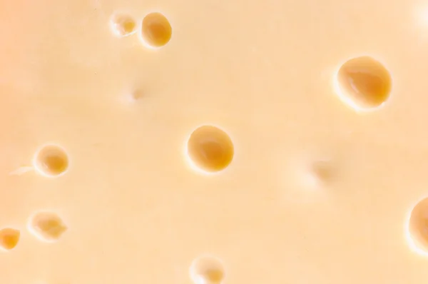 Kawałek sera smaczny — Zdjęcie stockowe