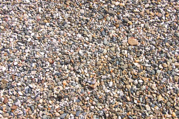 Textura de pedras de seixos coloridas — Fotografia de Stock