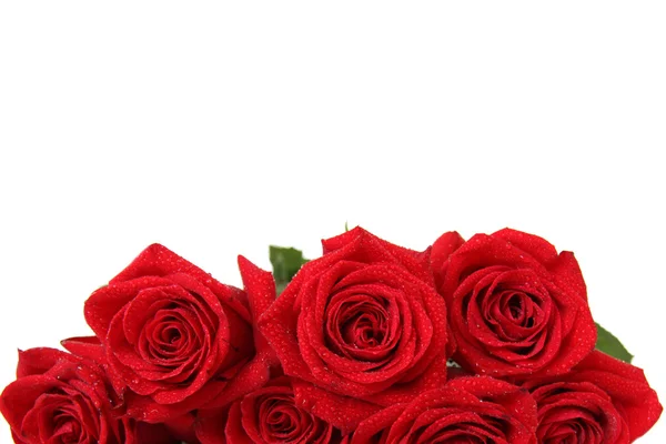 Rose rosse Foto Stock Royalty Free