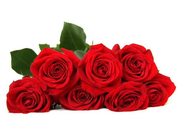 Zeven rode rozen — Stockfoto