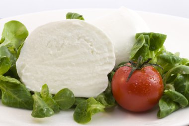 bufala mozzarella ve salata