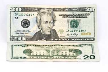 dolarlık banknot