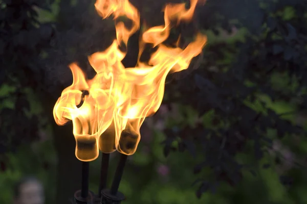Огненный факел — стоковое фото
