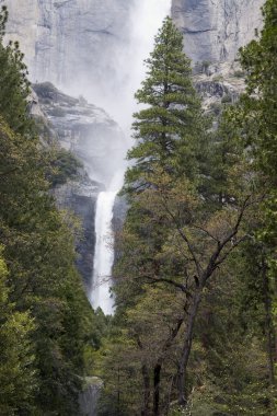 Yosemite Falls