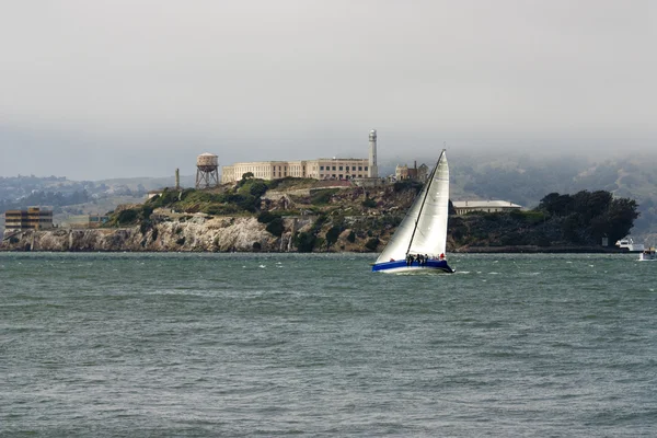Alcatraz —  Fotos de Stock