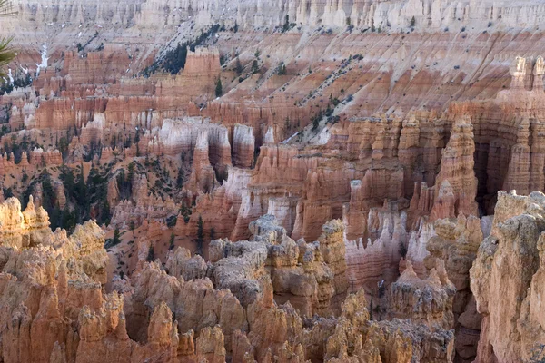 Brice canyon — Stockfoto