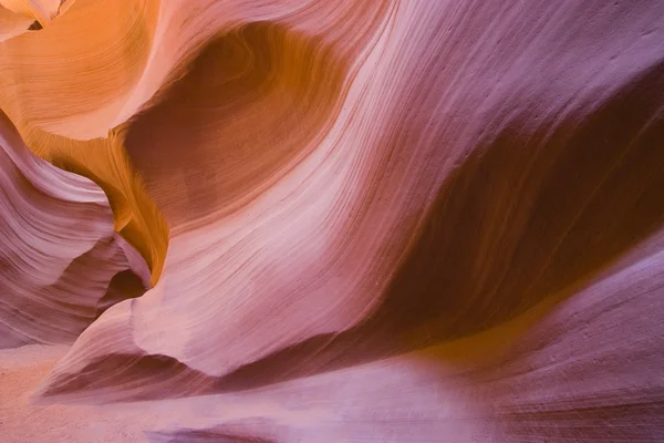 Canyon antílope em arizona — Fotografia de Stock