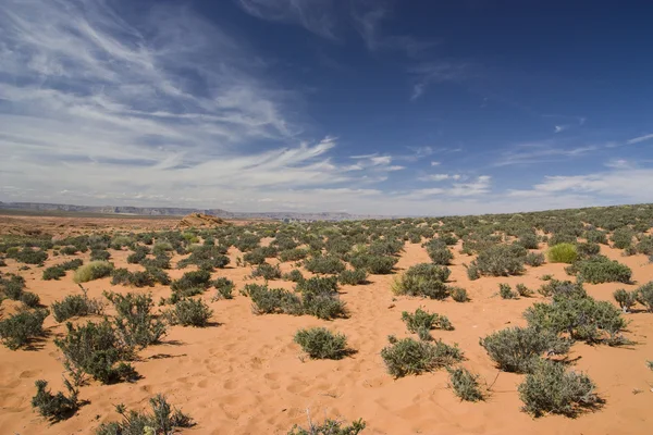 Arizonská poušť — Stock fotografie