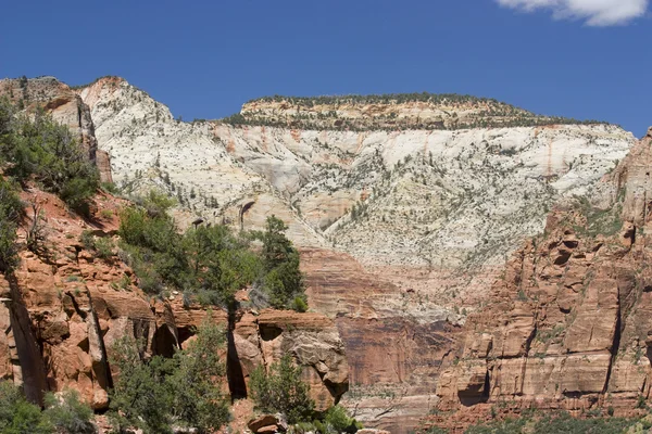 Parco nazionale del Canyon di Zion — Foto Stock