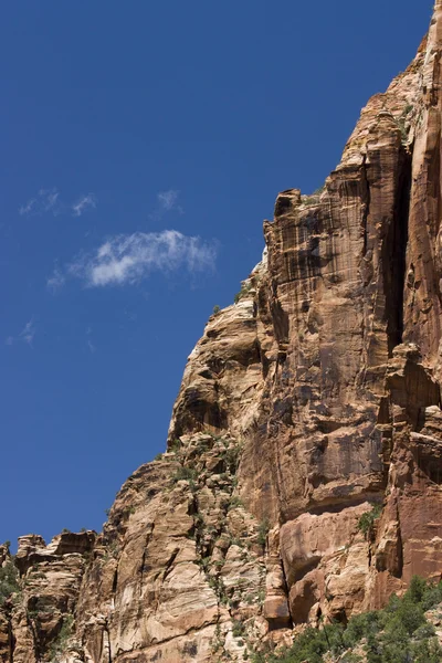 Národní park Sion Canyon — Stock fotografie