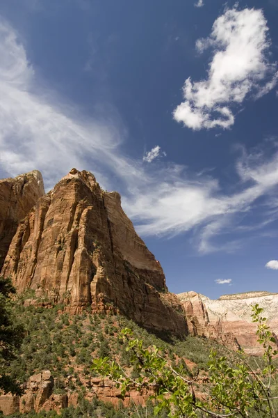 Zion Canyon Nationalpark — Stockfoto