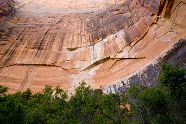 Parco nazionale del Canyon di Zion — Foto Stock