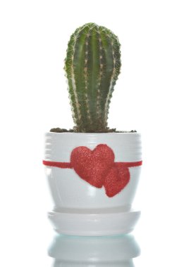 Cactus in flowerpot clipart