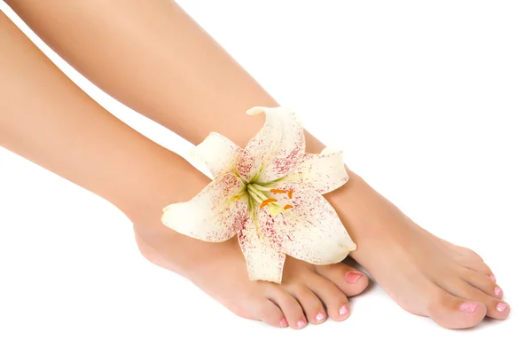 Женская нога с цветком лилии — стоковое фото