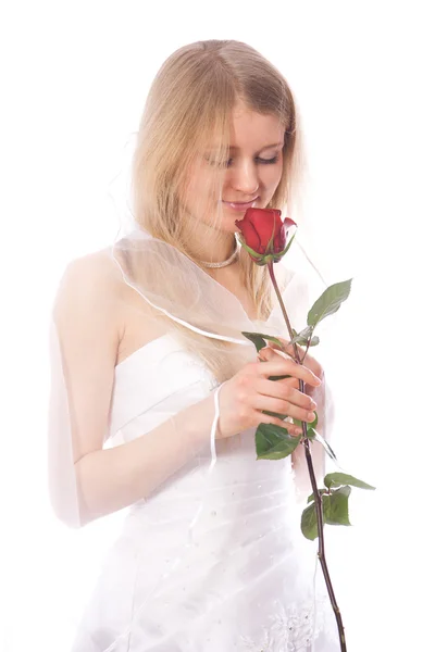 Braut riecht rote Rose — Stockfoto