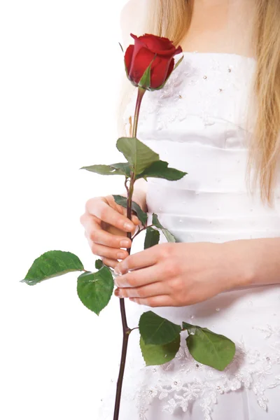 Primer plano de las manos de la novia con rosa roja — Foto de Stock