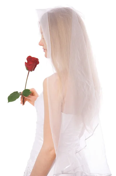Giovane sposa con rosa — Foto Stock