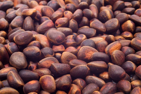 stock image A pile of cedar nut