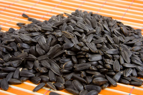 Close-up of sunflower seed — Stock Photo, Image