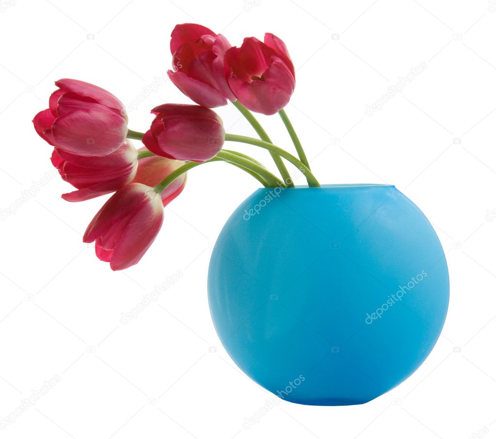 Red tulip in blue vase