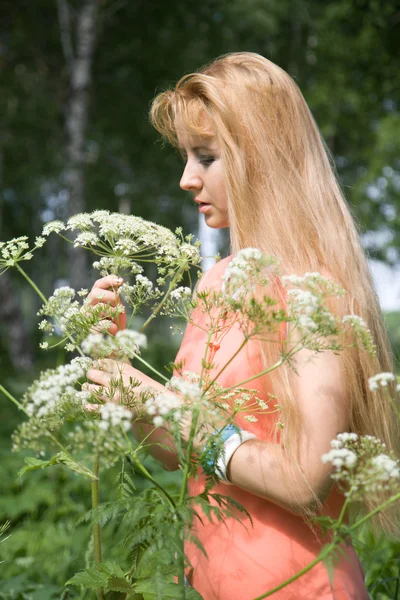 Menina beleza na floresta de verão — Fotografia de Stock