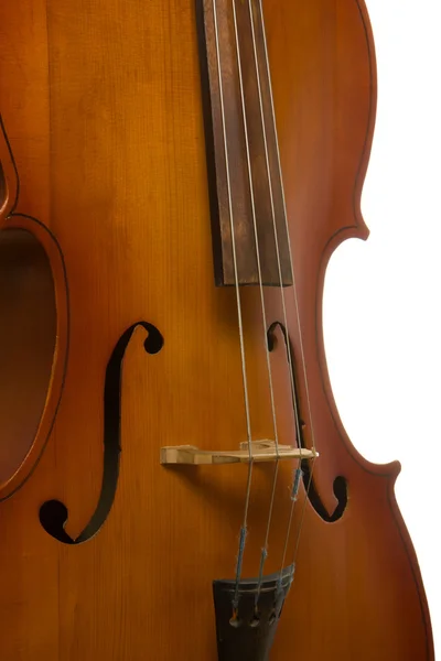 乐器大提琴 — 图库照片