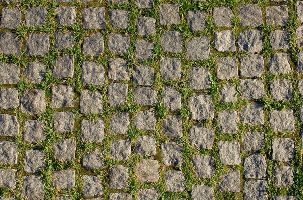 stock image Stone pavement