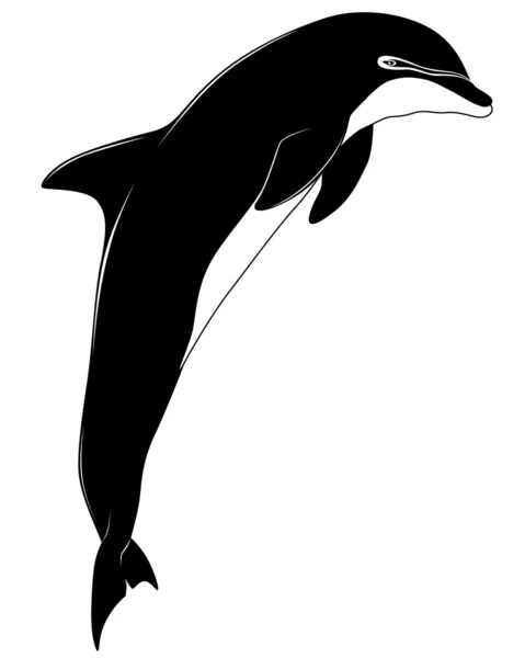 Delphin, Tätowierung — Stockvektor