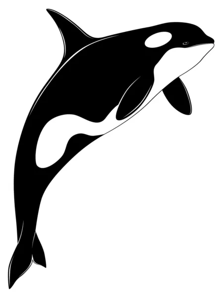 Balena assassina, tatuaggio — Vettoriale Stock