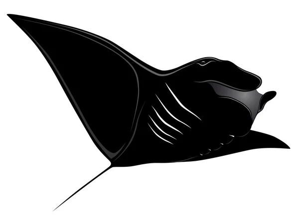 Manta ray, τατουάζ — Διανυσματικό Αρχείο