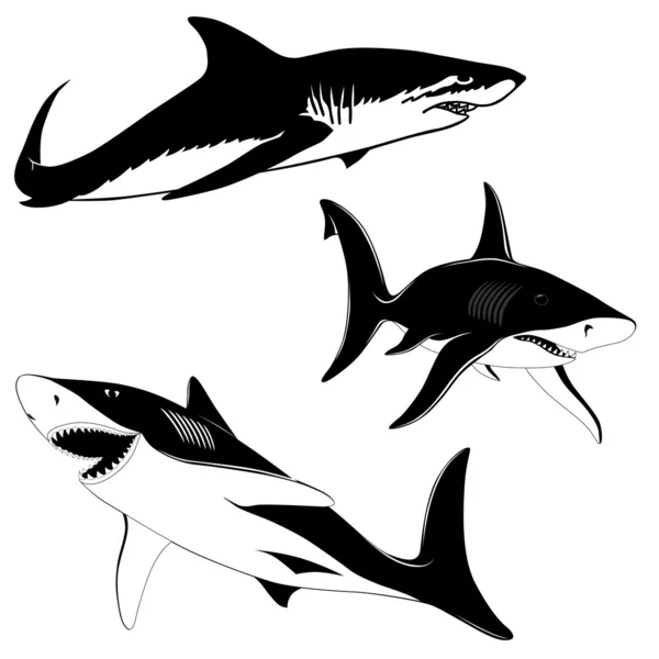 Set of three sharks — Stock Vector