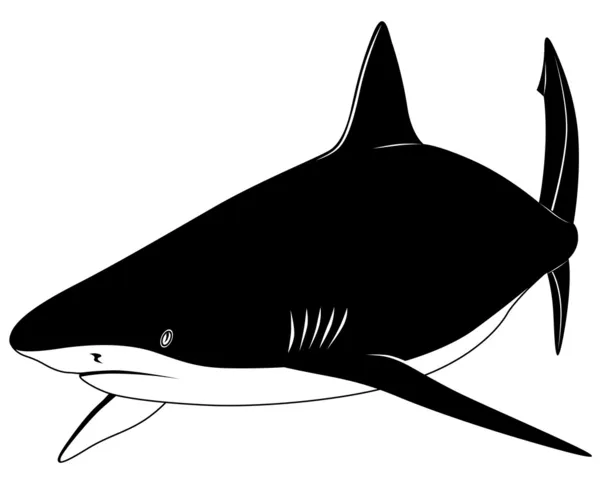 Tiburón, tatuaje — Vector de stock