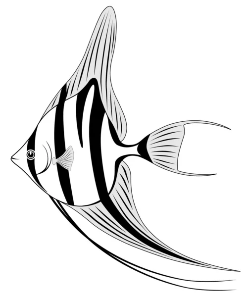 Peixe-anjo — Vetor de Stock