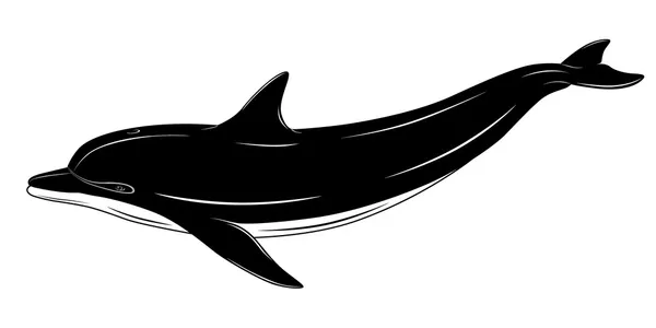 Delfín, tatuaje — Vector de stock