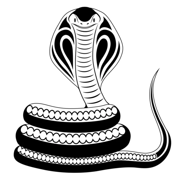 Snake, tattoo — Stock Vector