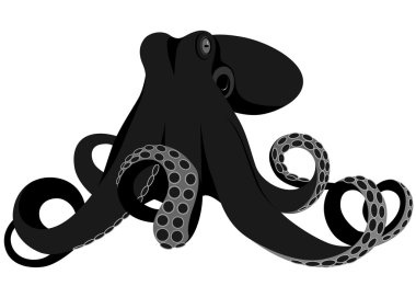 Octopus clipart