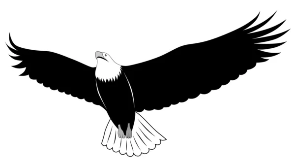 Eagle, tattoo — Stock Vector