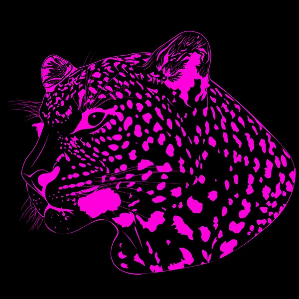 Leopardo — Vetor de Stock