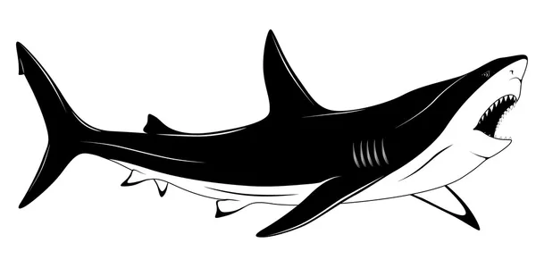 Requin, tatouage — Image vectorielle