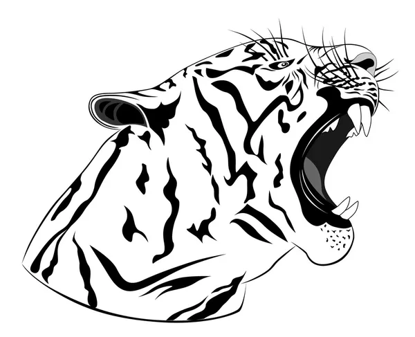 Tiger, tattoo — Stock Vector
