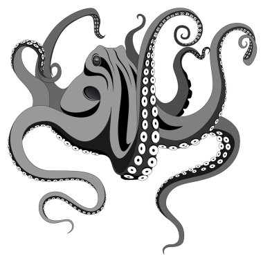 Octopus, Tattoo clipart