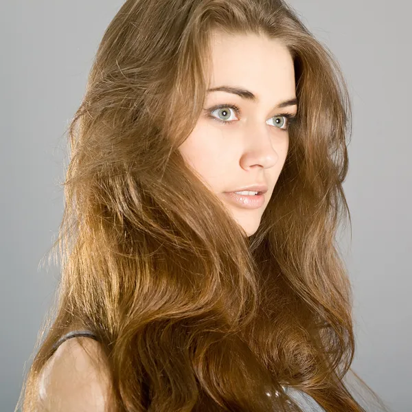 La chica de pelo largo —  Fotos de Stock