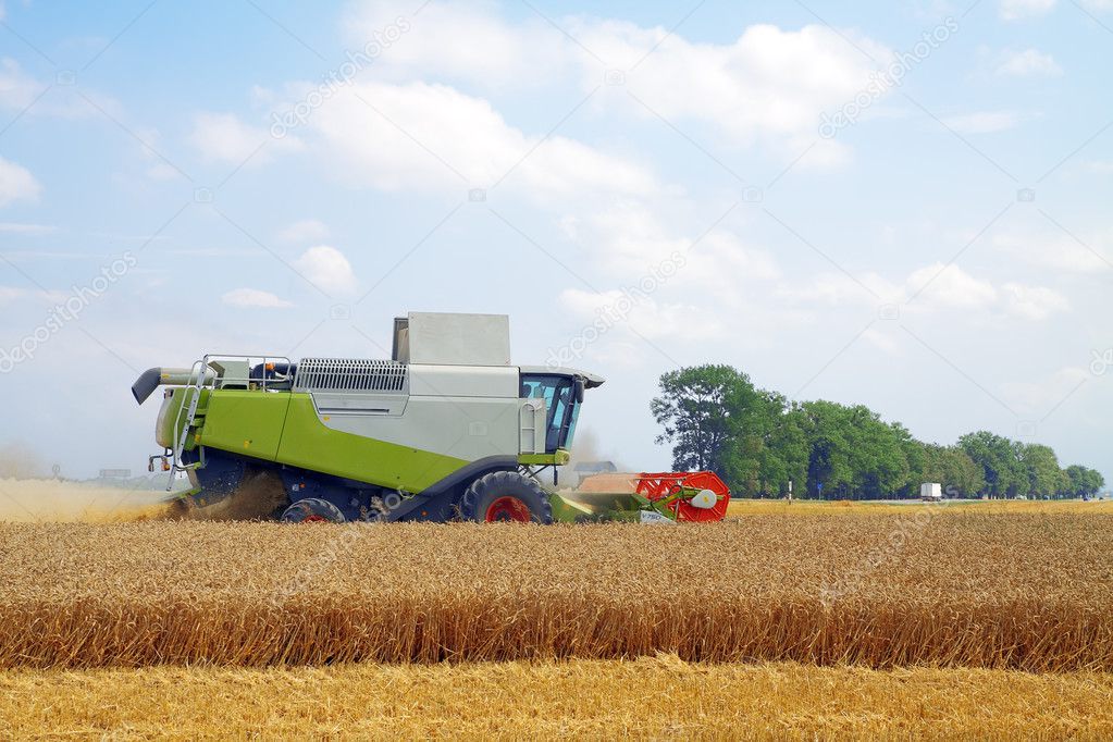 Combine for harvesting wheat