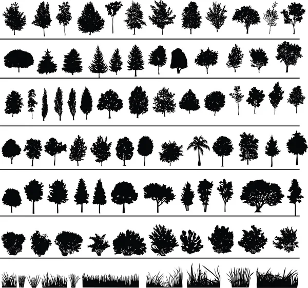 Stromy, keře, trávy — Stockový vektor