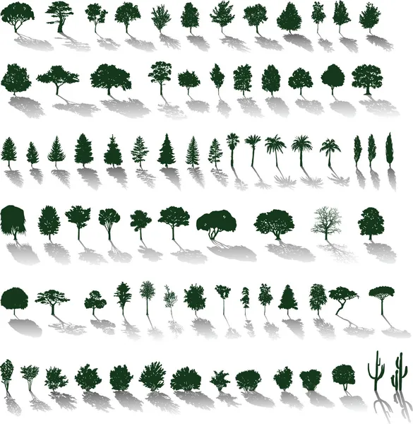 Vektorbäume mit Schatten — Stockvektor