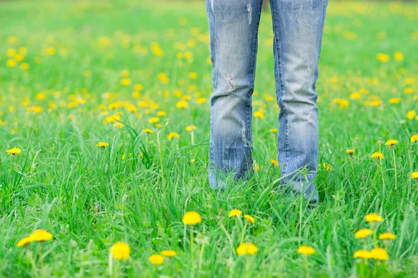 Person in the meadow — Stock Photo, Image